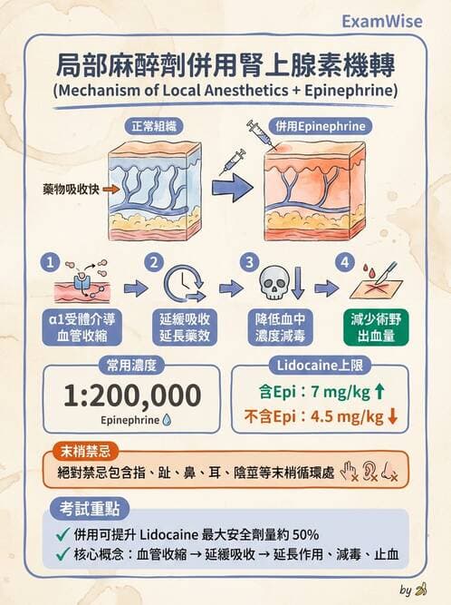 護理師 - 鎮痛、麻醉與神經科藥物 - AI 圖文解析預覽