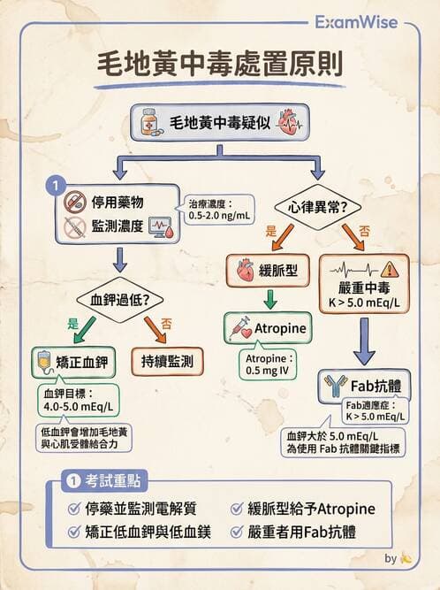 護理師 - 心臟藥物與抗血栓劑 - AI 圖文解析預覽