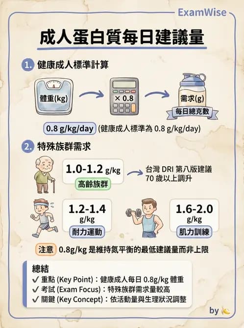 營養 - 蛋白質結構、功能與需求量 - AI 圖文解析預覽