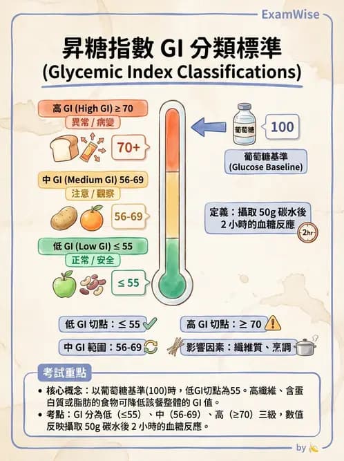 營養 - 醣類消化吸收與血糖調控 - AI 圖文解析預覽