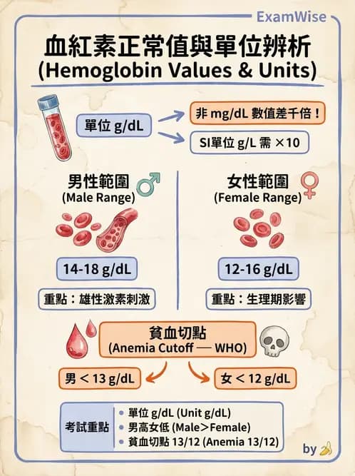 營養 - 營養評估與照護程序 - AI 圖文解析預覽