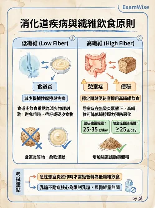 營養 - 腸胃道疾病 - AI 圖文解析預覽