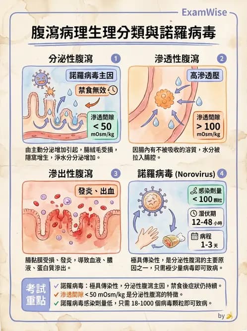 營養 - 腸胃道疾病 - AI 圖文解析預覽
