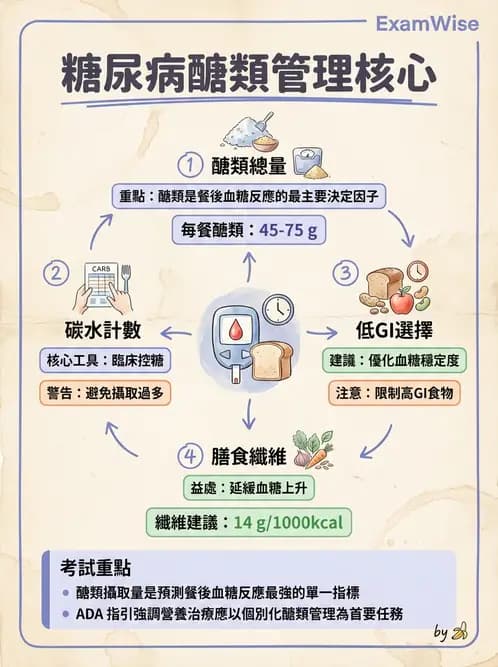 營養 - 糖尿病與代謝症候群 - AI 圖文解析預覽