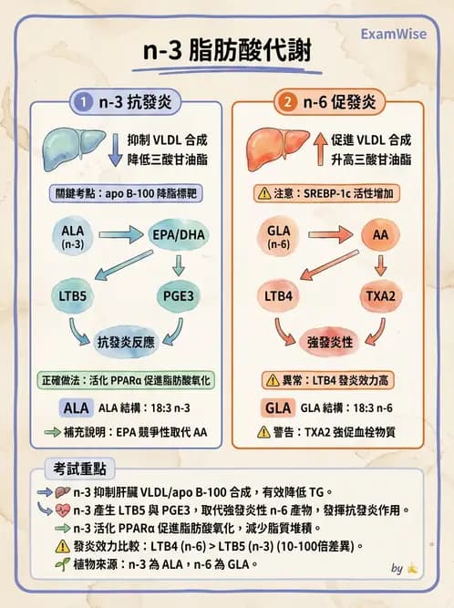 營養 - 心臟衰竭、移植與血脂管理 - AI 圖文解析預覽