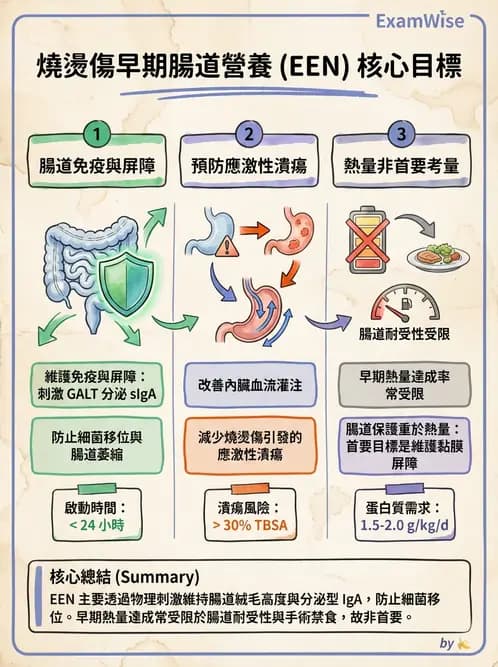 營養 - 燒燙傷與外傷重症營養 - AI 圖文解析預覽