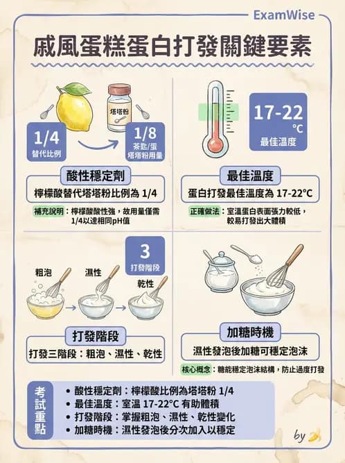 營養 - 動植物性食材製備原理 - AI 圖文解析預覽