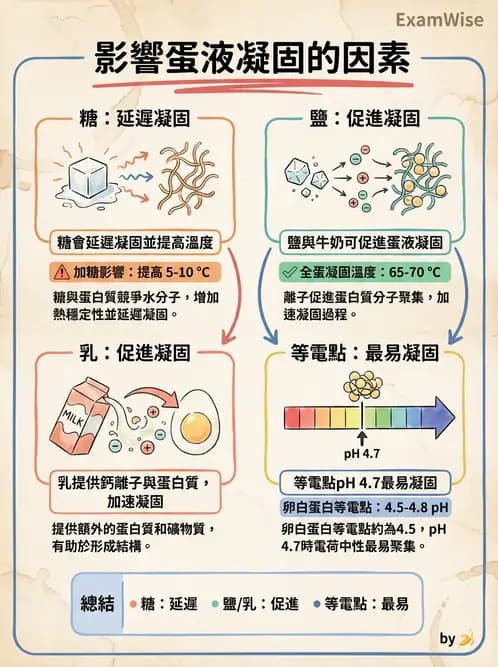 營養 - 動植物性食材製備原理 - AI 圖文解析預覽