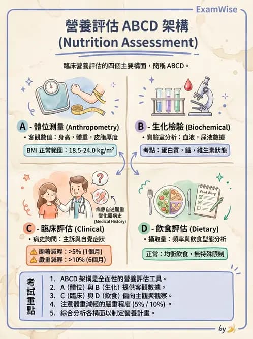 營養 - 營養篩檢與評估量表 - AI 圖文解析預覽