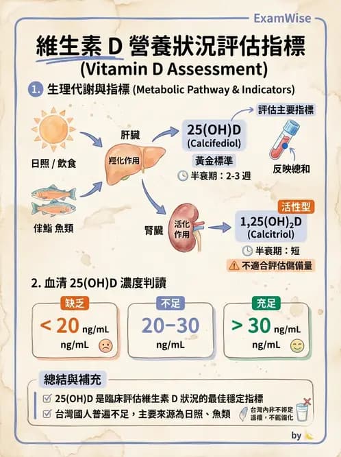 營養 - 國民營養健康狀況變遷調查 - AI 圖文解析預覽