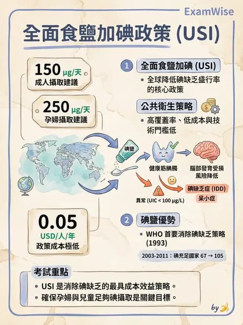 營養 - 國際營養議題與糧食安全 - AI 圖文解析預覽