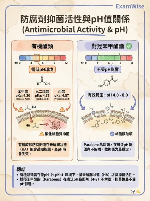 營養 - 食品添加物 - AI 圖文解析預覽