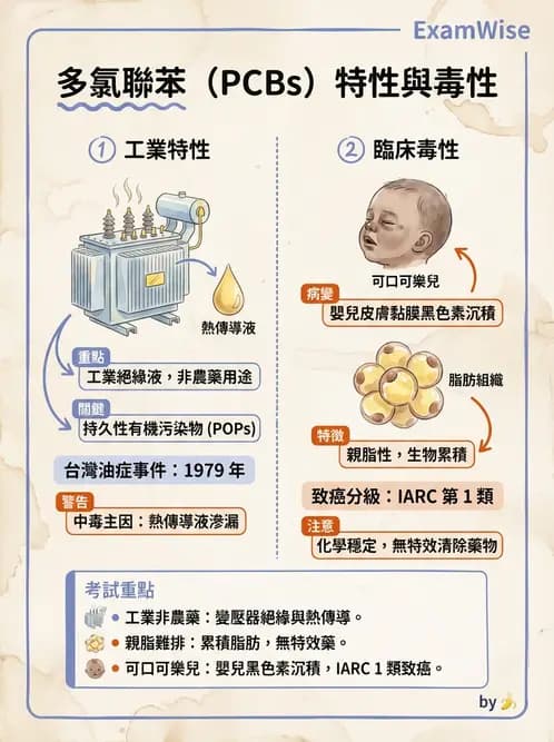營養 - 化學性危害 - AI 圖文解析預覽