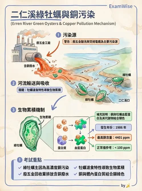營養 - 化學性危害 - AI 圖文解析預覽