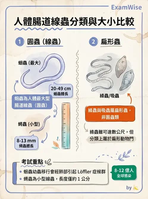營養 - 生物性污染與寄生蟲 - AI 圖文解析預覽
