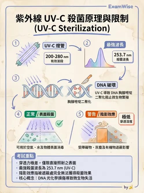 營養 - 食品用洗潔劑與殺菌消毒 - AI 圖文解析預覽