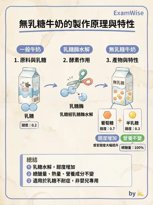 營養 - 醣類消化吸收與血糖調控 - AI 圖文解析預覽