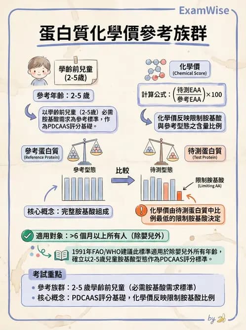 營養 - 蛋白質消化吸收與品質評估 - AI 圖文解析預覽