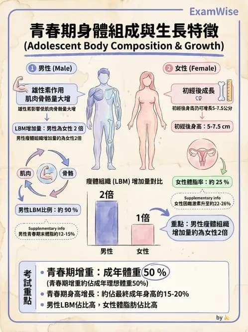 營養 - 兒童青少年與老年營養 - AI 圖文解析預覽