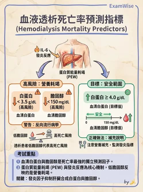 營養 - 透析治療飲食管理 - AI 圖文解析預覽