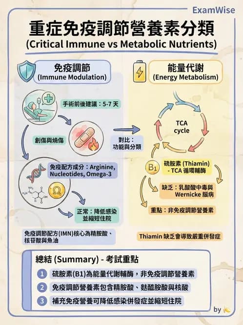 營養 - 燒燙傷與外傷重症營養 - AI 圖文解析預覽