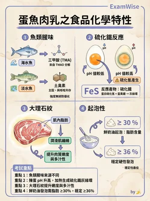 營養 - 動植物性食材製備原理 - AI 圖文解析預覽