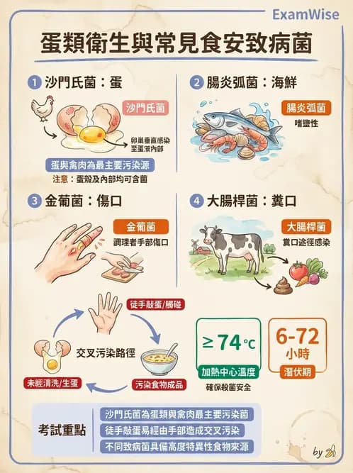 營養 - 食品安全衛生管理 - AI 圖文解析預覽