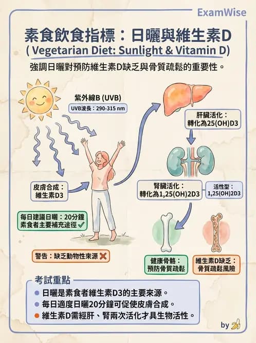 營養 - DRIs與飲食指南 - AI 圖文解析預覽