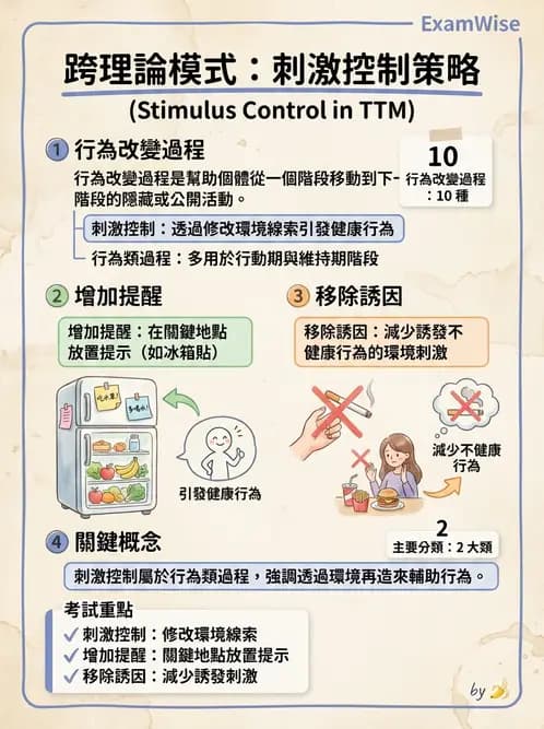 營養 - 健康行為改變理論 - AI 圖文解析預覽