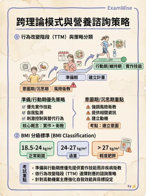 營養 - 營養教育與諮詢 - AI 圖文解析預覽