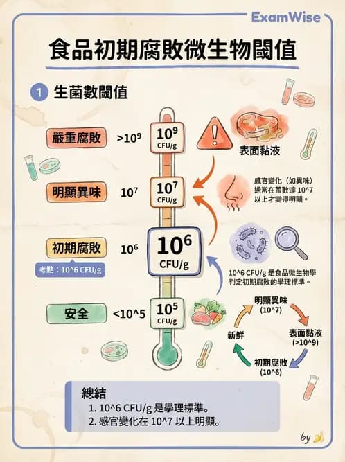 營養 - 食品腐敗微生物學 - AI 圖文解析預覽