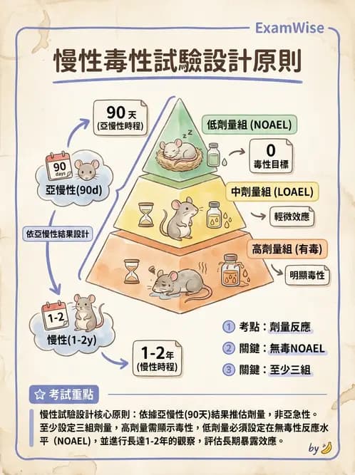 營養 - 食品安全性評估 - AI 圖文解析預覽