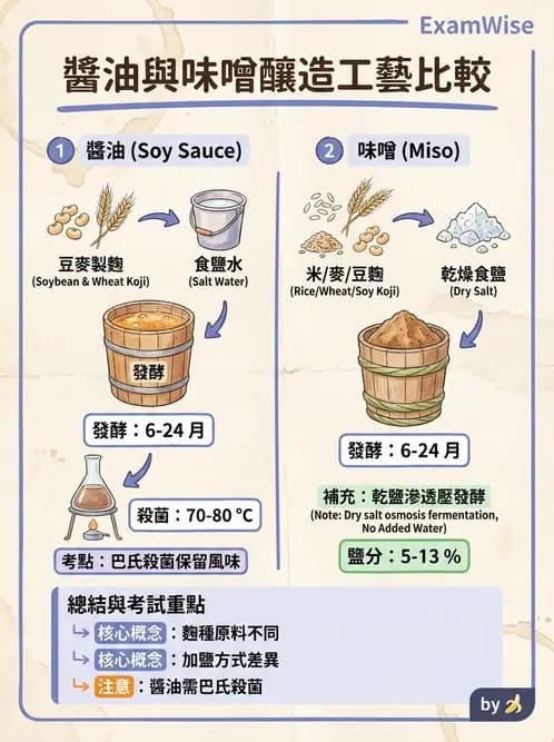 營養 - 食品腐敗微生物學 - AI 圖文解析預覽