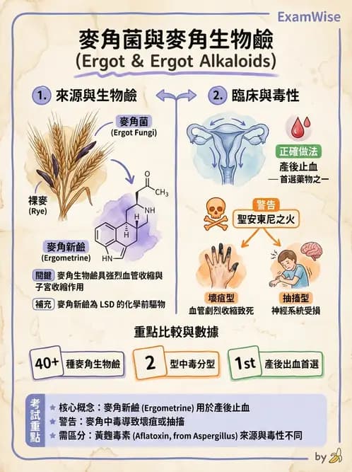 營養 - 天然毒素 - AI 圖文解析預覽