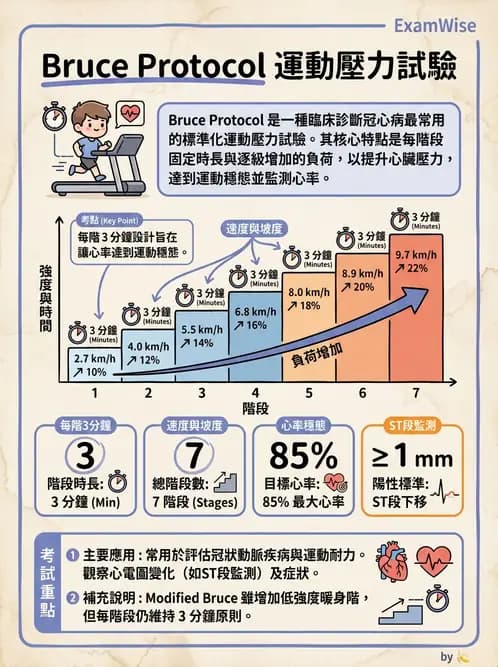 醫檢師 - 心電圖基礎與判讀 - AI 圖文解析預覽