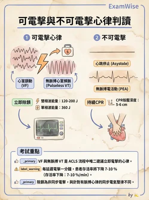 醫檢師 - 心律不整判讀 - AI 圖文解析預覽