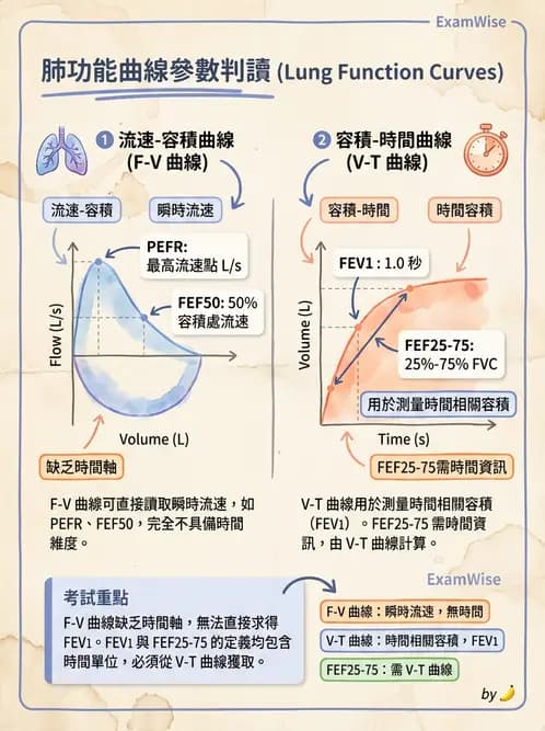 醫檢師 - 肺功能基礎與指標 - AI 圖文解析預覽