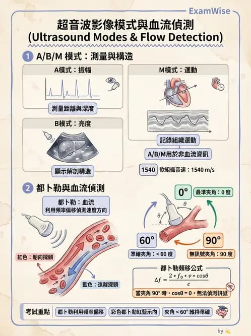 醫檢師 - 超音波檢查 - AI 圖文解析預覽