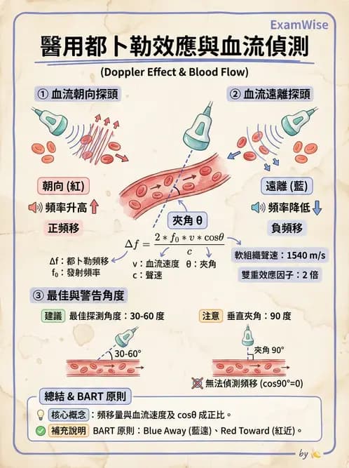醫檢師 - 超音波檢查 - AI 圖文解析預覽