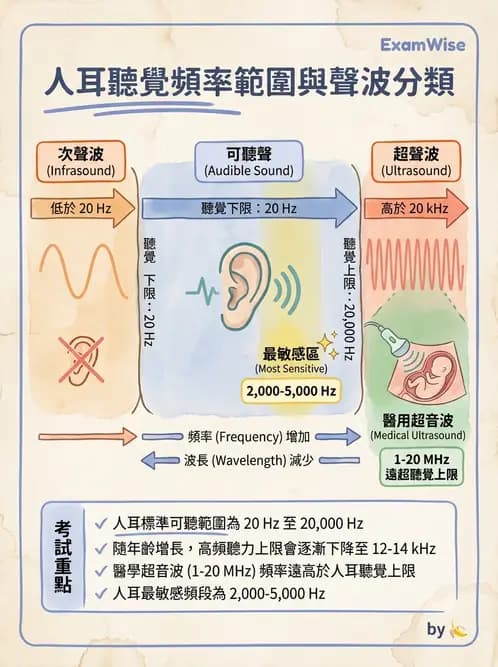 醫檢師 - 超音波檢查 - AI 圖文解析預覽