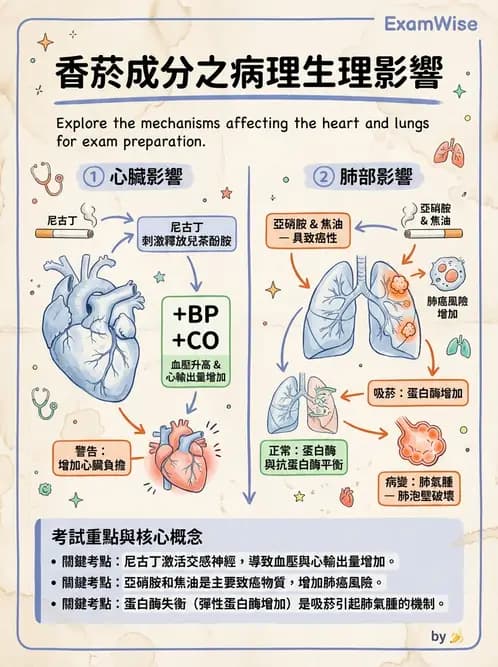 醫檢師 - 物理和化學傷害及營養疾病 - AI 圖文解析預覽