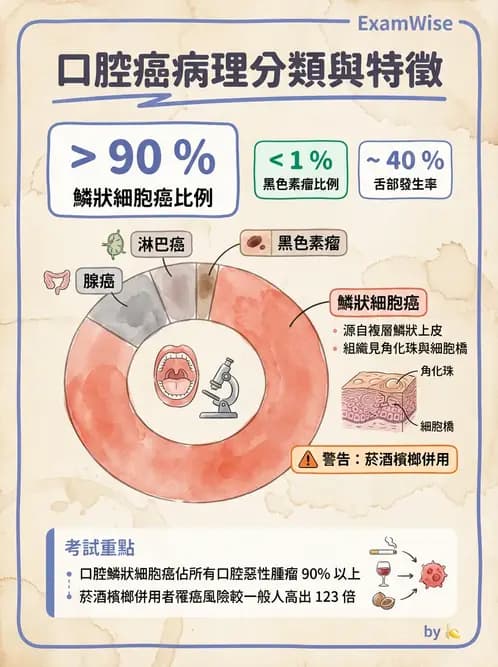 醫檢師 - 消化肝膽疾病 - AI 圖文解析預覽