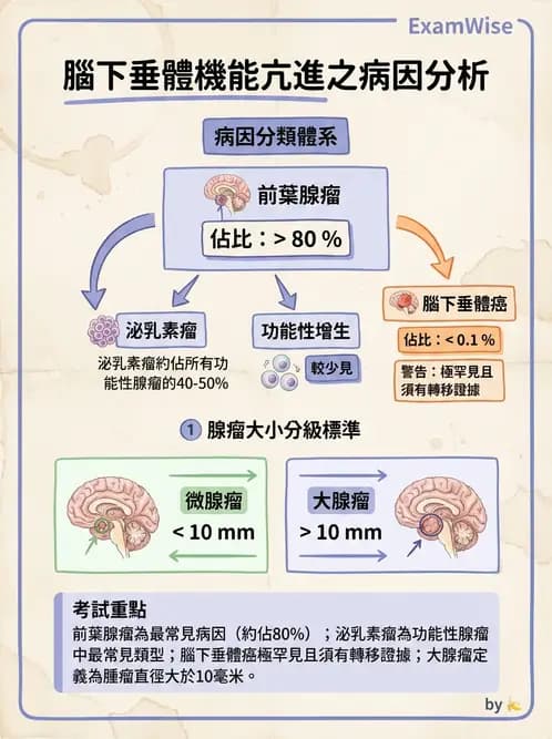 醫檢師 - 內分泌疾病 - AI 圖文解析預覽