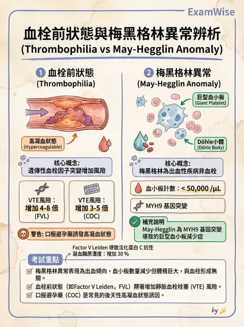 醫檢師 - 血栓性疾病與抗凝治療監測 - AI 圖文解析預覽
