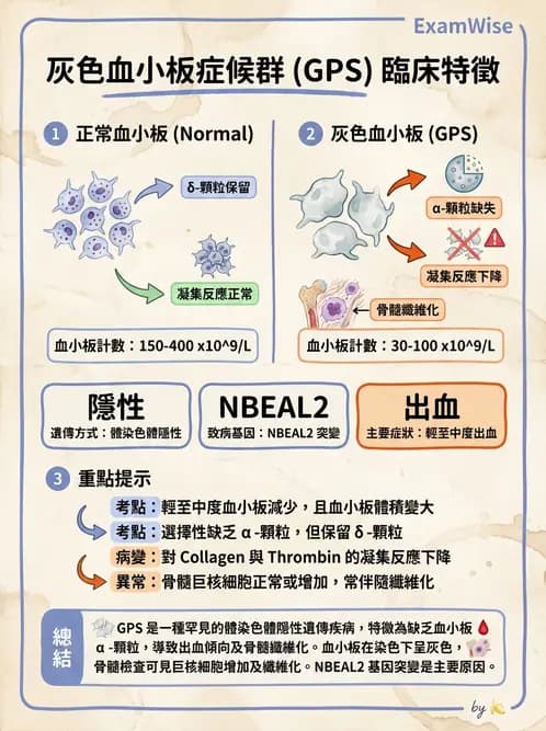 醫檢師 - 出血性疾病與檢驗 - AI 圖文解析預覽