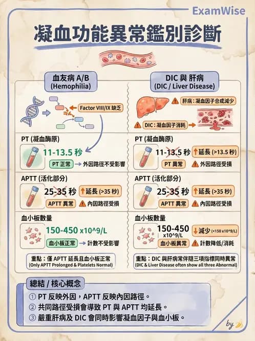 醫檢師 - 出血性疾病與檢驗 - AI 圖文解析預覽