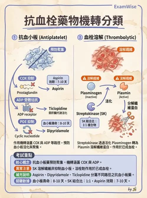 醫檢師 - 血栓性疾病與抗凝治療監測 - AI 圖文解析預覽