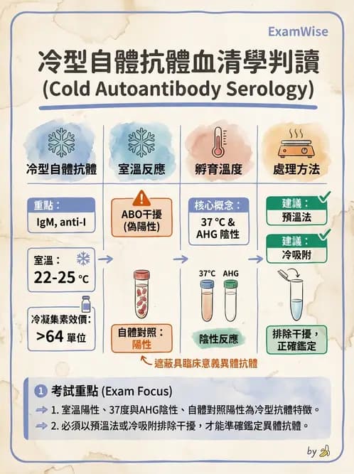 醫檢師 - 血液成分製備與輸血檢查 - AI 圖文解析預覽