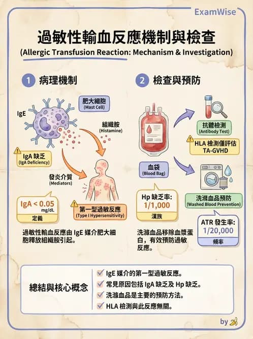 醫檢師 - 輸血反應與血庫品管 - AI 圖文解析預覽