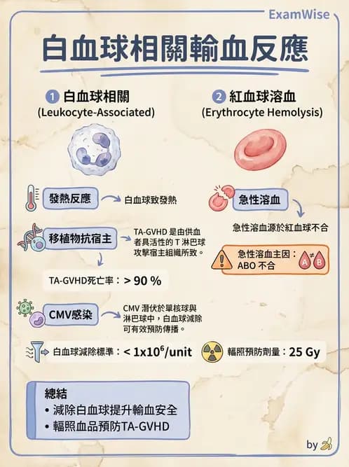 醫檢師 - 輸血反應與血庫品管 - AI 圖文解析預覽